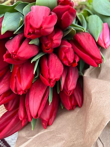 Букеты из живых цветов: Голландские Тюльпаны Оптом и в розницу!И Розы размеры 70см 80 см и 60 — 2