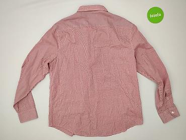 bluza multi: Penguin, Koszulа dla mężczyzn, rozmiar L — 3
