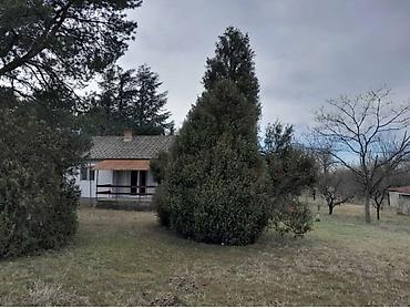 Kupujem kuću: Vikendica u Vincima pored Dunava sa velikim placem i uređenim — 6