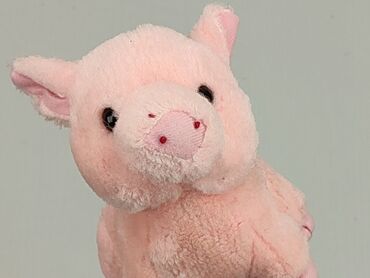 М'які іграшки: М'яка іграшка Свинка, стан - Дуже гарний