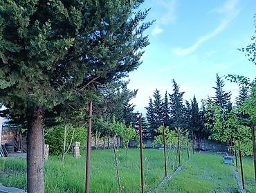 Bağ evlərinin kirayəsi: 90 kv. m, 4 otaqlı, İşıq — 1