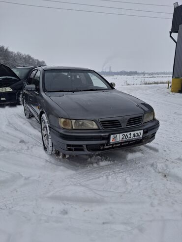 hyundai porter 1: Nissan Maxima: 1997 г., 3 л, Механика, Бензин