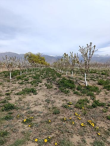 Продажа участков: 80 соток, Для бизнеса — 10