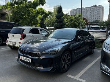 моновпрыск на гольф 3: Kia : 2018 г., 3.3 л, Автомат, Бензин, Хэтчбэк