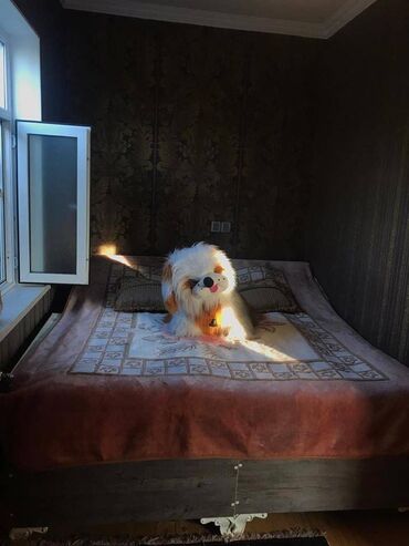 Uzunmüddətli kirayə evlər: 80 kv. m, 3 otaqlı — 5