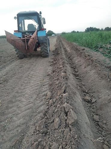 Тракторы МТЗ (Беларус): Модель: 892, Новый — 4