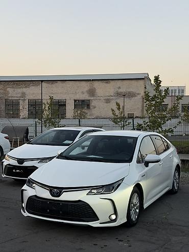 1: Toyota Corolla: 2023 г., 1.8 л, Вариатор, Гибрид, Седан — 1