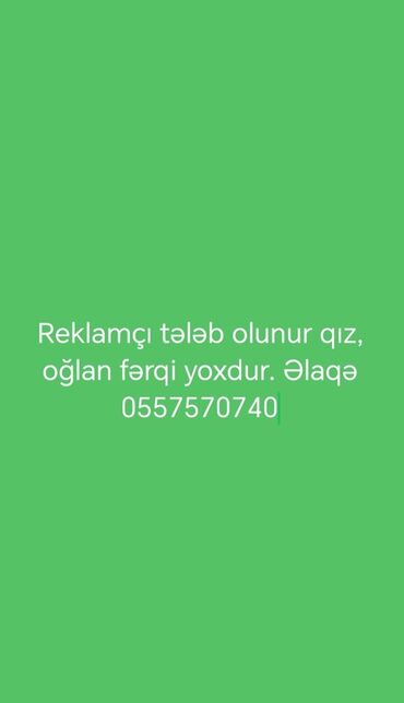 masallıda iş elanları 2024: Маркетолог требуется