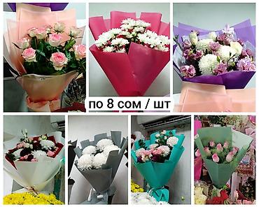 Пленка и бумага: Бумага, Новый — 11