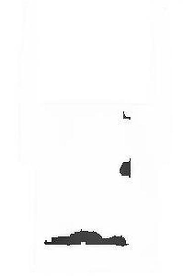 Modemi, ruteri i mrežni uređaji: Wi‑Fi repeater/range extender sa dve eksterno postavljene antene - — 14