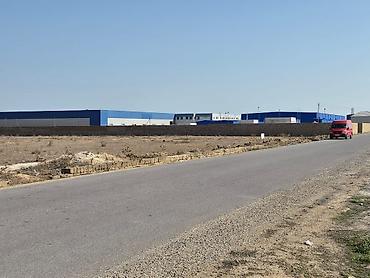 50 sot, Kənd təsərrüfatı, Mülkiyyətçi, Kupça (Çıxarış) lalafo.az -da 50 sot, Kənd təsərrüfatı, Mülkiyyətçi, Kupça (Çıxarış)