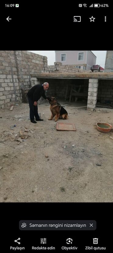 Torpaq sahələrinin satışı: 3 sot, Mülkiyyətçi, Kupça (Çıxarış)