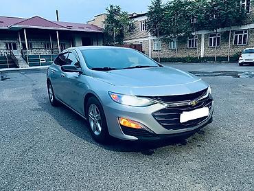 тонировка стекл: Chevrolet Malibu: 2019 г., 1.5 л, Автомат, Бензин, Седан — 1