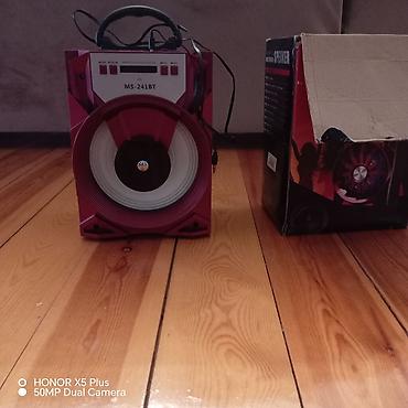 Audio: MS-241BT portativ səs gücləndiricisi - Model: MS-241BT (LED) - Növ — 6