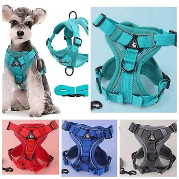 Товары и оборудование для с/х животных: ПРОДАЮ ОШЕЙНИКИ,ШЛЕЙКИ ДЛЯ МЕЛКИХ,СРЕДНИХ И КРУПНЫХ СОБАК.А ТАК ЖЕ — 6