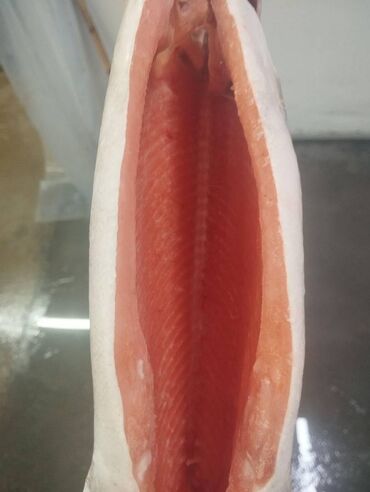 Рыба и морепродукты: Замороженный, До 1 кг, Самовывоз, Бесплатная доставка, Платная доставка at lalafo.kg — 8 Рыба и морепродукты: Замороженный, До 1 кг, Самовывоз, Бесплатная доставка, Платная доставка — 8