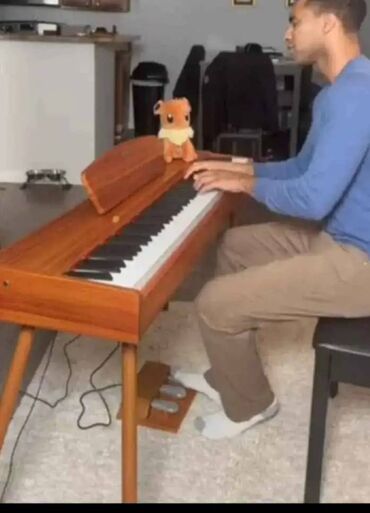 губные музыкальные инструменты: Piano, Rəqəmsal, Yeni, Pulsuz çatdırılma
