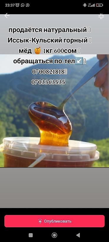ысык куле: Продаются натуральный горный мёд 
🍯Иссык Кульский) 1kg 600с — 1