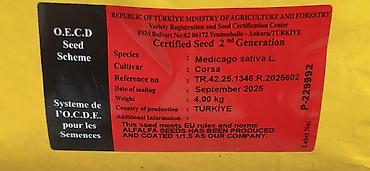 əli əhməd şirniyyat: Golden west yonca toxumu Türk toxumudur Bitişi 100 faiz ✅ Boy 80 sm — 3