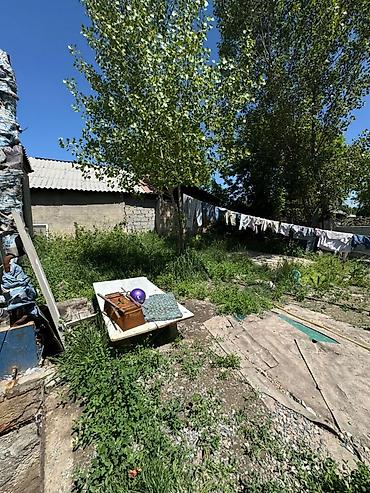 Продажа коттеджей и домов: Продается дом в с. Маевка по улице Новая. Общая площадь дома 54 м², 4 — 6
