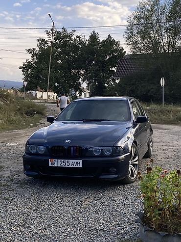 куплю маш: BMW 5 series: 1996 г., 2.5 л, Механика, Бензин, Седан — 2