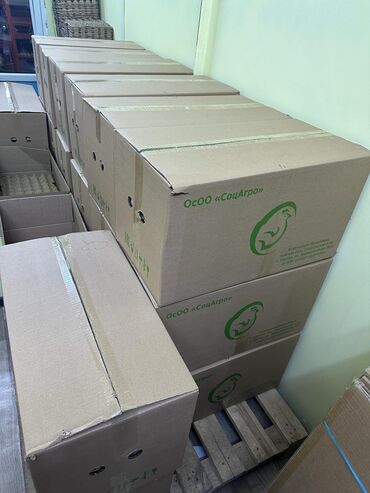 цена домашнего творога на рынке: Продаются коробки из под яиц, отличное состояние. Цена - 30сом. в
