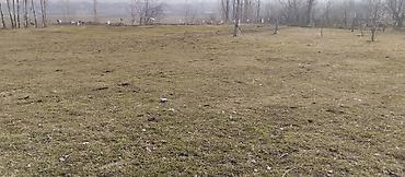 Продажа участков: 18 соток, Для строительства — 7