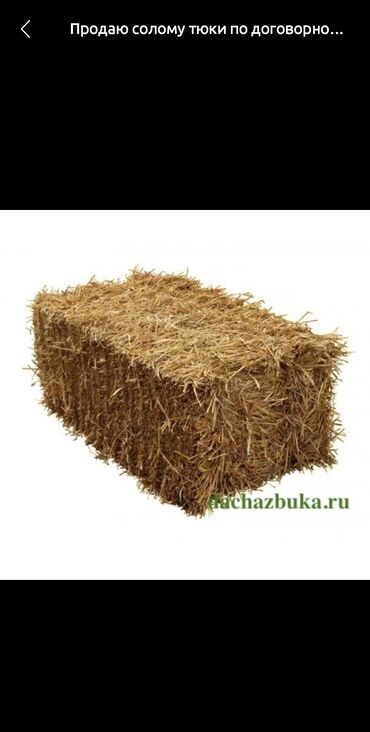 стиральный порошок цена бишкек: Продаю ячменную солому (арпа саман), 20 тюков. Тюки большие, сухие