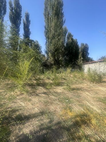 срочно продаю дом кант: 6 соток