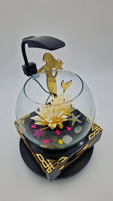 Akvariumlar: Yumru akvarium, Balıqlarla birlikdə, 3 l, Pulsuz çatdırılma — 7