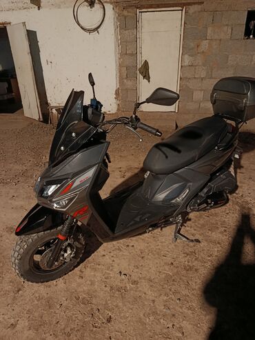 Скутеры: Макси-скутер 50 куб. см, Бензин, Новый — 8