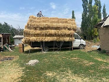 Легкий грузовой транспорт: Легкий грузовик, Mercedes-Benz, Стандарт, Б/у — 4