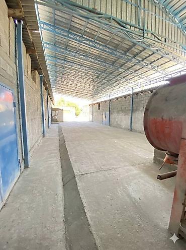 Продажа цехов, заводов, фабрик: Цех, С оборудованием, 357 м² — 3