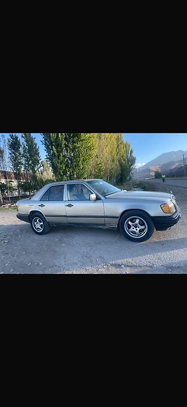 Продажа авто: Mercedes-Benz W124: 1989 г., 2.3 л, Механика, Бензин, Седан — 1