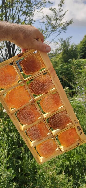 бал мед: ELF BEE'S 1977 Azerbaijan organic honey Tovuzun dağlarından toplanmış