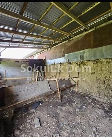 Продажа коттеджей и домов: Дом с участком. - Планировка: несколько изолированных комнат с — 13