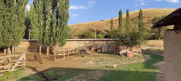 Сельхоз предприятия: Продается Кашара Фермерское- хозяйство с действующим бизнесом и с — 17