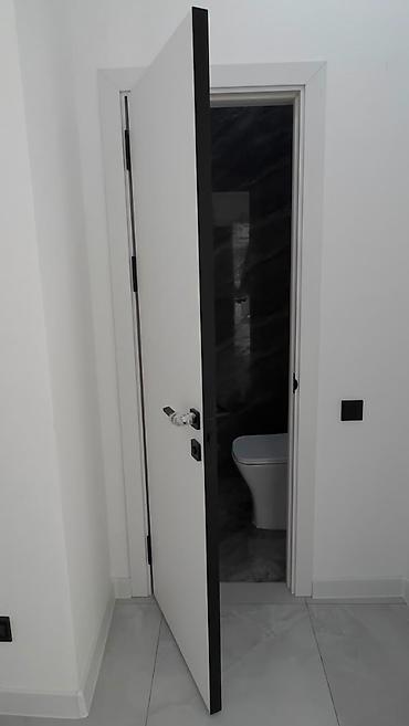 леостан: 1 комната, 48 м², Пишпек Элитка, 5 этаж, Евроремонт — 10