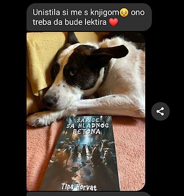 Knjige: Šapice sa hladnog betona – Tina Horvat - Knjiga: zbirka kratkih priča — 36