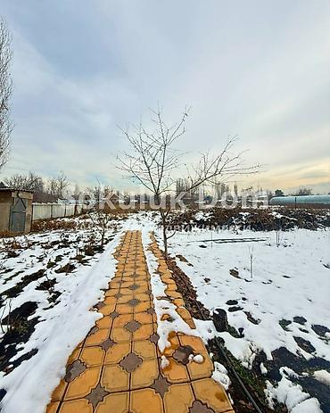 Продажа коттеджей и домов: 🏠Продается дом в с. Сокулук 🟡 Комнаты: 6 🟡 Участок: 20 соток 🟡 — 5