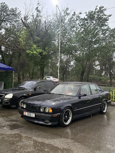 BMW: BMW 5 series: 1995 г., 4 л, Механика, Бензин, Седан