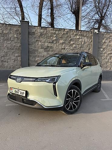 Weltmeister: Weltmeister W6, 2022 г. — 1