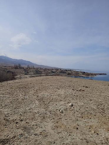 Продажа участков: 787 соток, Для сельского хозяйства, Красная книга, Договор купли-продажи — 6