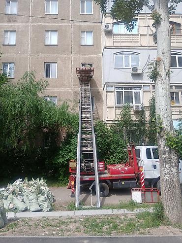 жили машина: Услуги автолифта (грузовой подъёмник на базе автомобиля)подъём груз — 2