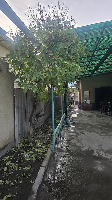 Продажа домов: Дом, 6 м², 5 комнат, Риэлтор — 2