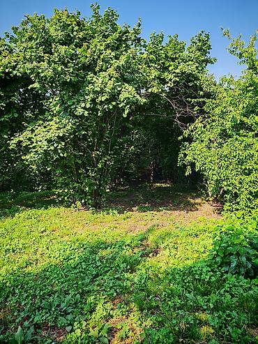çınqıl daşı: 4 otaqlı, 110 kv. m, Yeni təmirli — 7