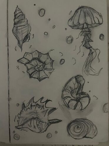 Картины: КАРТИНЫ НЕ СТОЯТ 50СОМ!! это для привлечения внимания будет стоить at lalafo.kg — 11 Картины: КАРТИНЫ НЕ СТОЯТ 50СОМ!! это для привлечения внимания будет стоить — 11