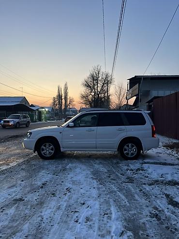 Subaru: Subaru Forester: 2003 г., 2 л, Автомат, Бензин, Универсал — 4