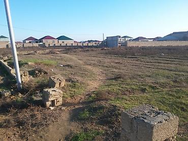 ramanıda: 10 sot, Kənd təsərrüfatı, Mülkiyyətçi, Kupça (Çıxarış) — 3