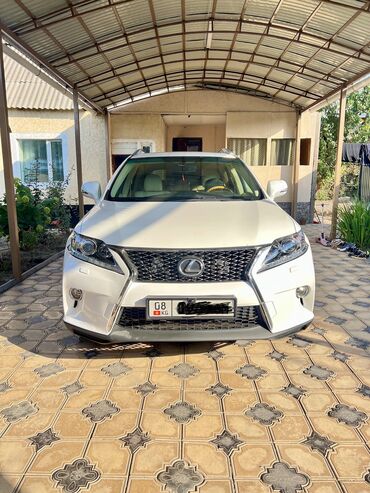 белый лексус: Lexus RX: 2010 г., 3.5 л, Типтроник, Газ, Кроссовер